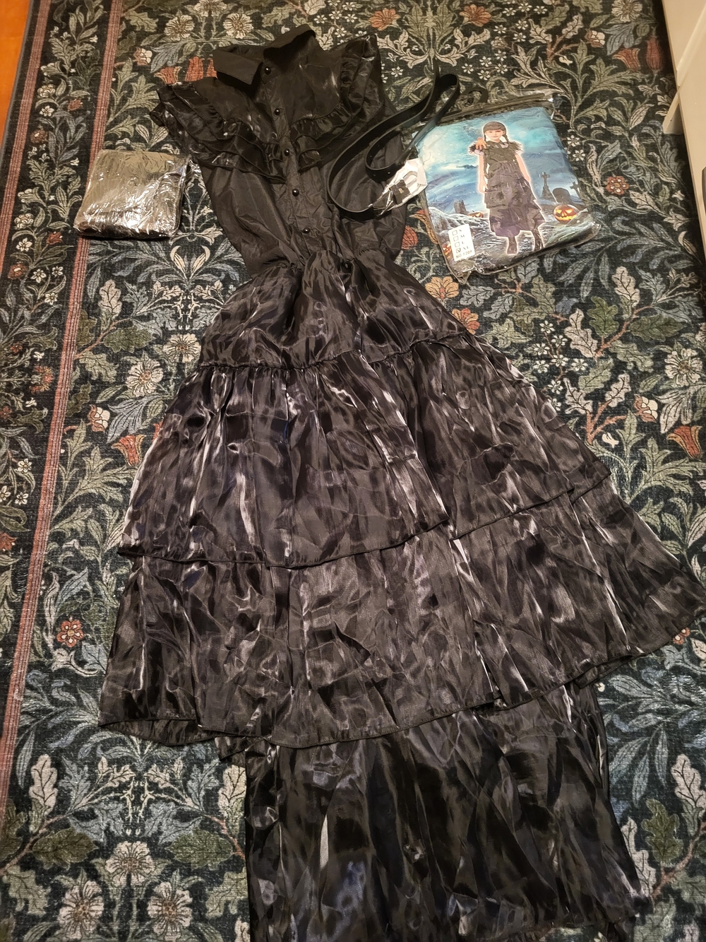 Wednesday Addams Raven Dress Costume